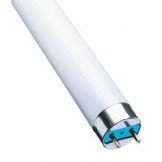 Люминисцентная лампа DELUX 10054129